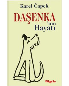 Daşenka’nın Hayatı