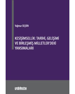 Kesişimsellik: Tarihi, Gelişimi ve Birleşmiş Milletler'deki Yansımaları