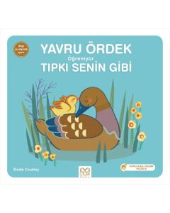 Yavru Ördek Öğreniyor Tıpkı Senin Gibi 