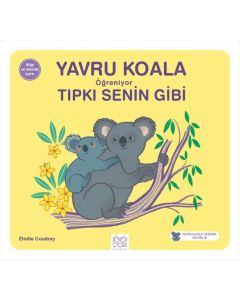 Yavru Koala Öğreniyor Tıpkı Senin Gibi 