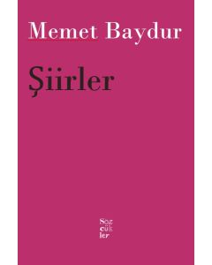 Şiirler 