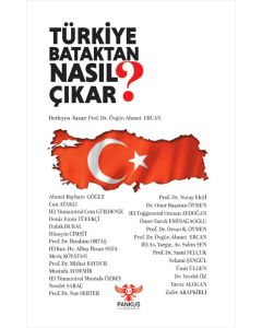 Türkiye Bataktan Nasıl Çıkar?