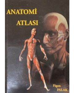 Anatomi Atlası