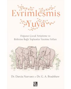 Evrimleşmiş Yuva