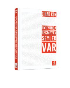 Uyuyunca Geçmeyen Şeyler Var