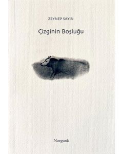 Çizginin Boşluğu