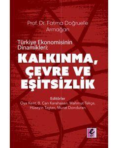 Türkiye Ekonomisinin Dinamikleri - Kalkınma, Çevre ve Eşitsizlik
