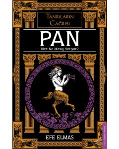 Pan Bize Ne Mesaj Veriyor?