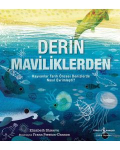 Derin Maviliklerden 