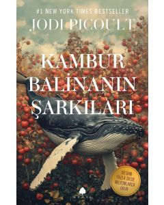 Kambur Balinanın Şarkıları