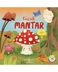 Küçük Mantar