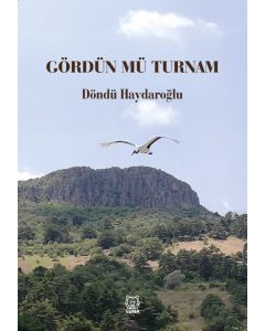 Gördün mü Turnam