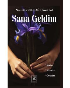 Sana Geldim