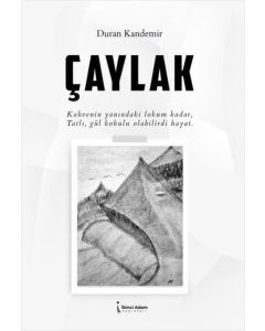 Çaylak