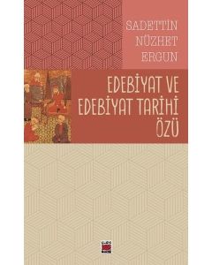 Edebiyat ve Edebiyat Tarihi Özü