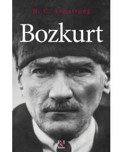 Bozkurt