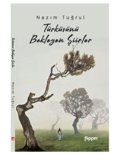 Türküsünü Bekleyen Şiirler