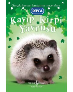 Kayıp Kirpi Yavrusu
