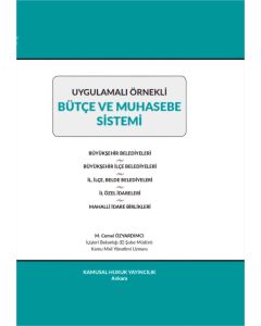Bütçe ve Muhasebe Sistemi (Ciltli)