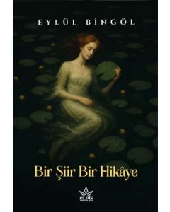 Bir Şiir Bir Hikâye