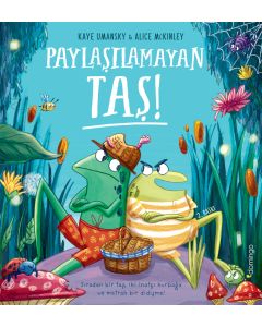Paylaşılamayan Taş