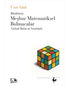 Meraklısına Meşhur Matematiksel Bulmacalar