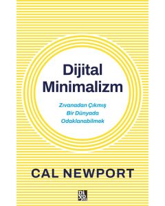 Dijital Minimalizm