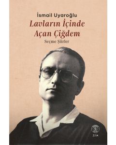 Lavların İçinde Açan Çiğdem