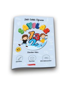 Zekâ Odaklı Öğrenim - Sayılar