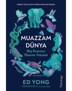 Muazzam Dünya