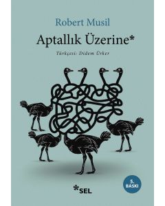 Aptallık Üzerine