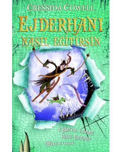 Ejderhanı Nasıl Eğitirsin 4