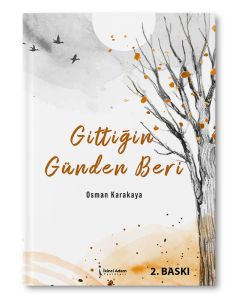 Gittiğin Günden Beri