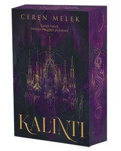 Kalıntı