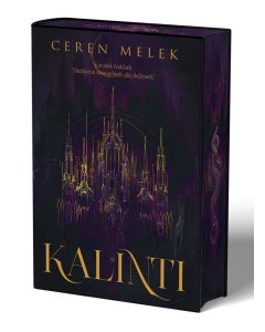 Kalıntı (Ciltli)