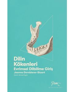 Dilin Kökenleri