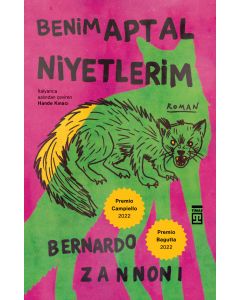 Benim Aptal Niyetlerim