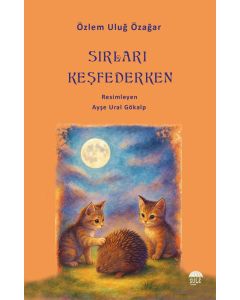 Sırları Keşfederken