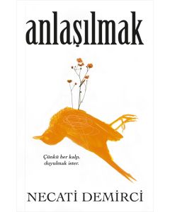 Anlaşılmak 
