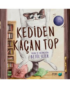 Kediden Kaçan Top