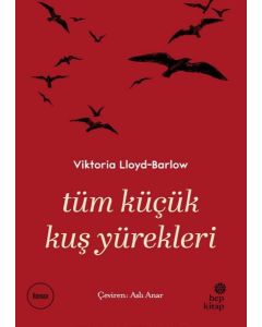 Tüm Küçük Kuş Yürekleri