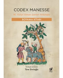 Codex Manesse Codex Manesse