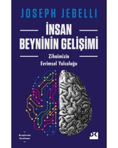 İnsan Beyninin Gelişimi
