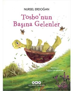 Tosbo’nun Başına Gelenler