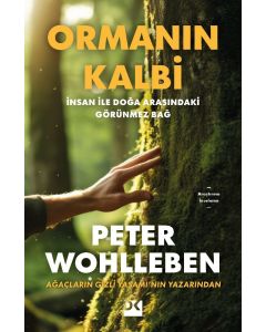 Ormanın Kalbi