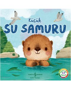 Küçük Su Samuru