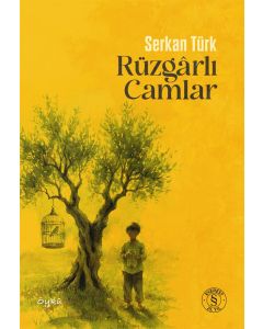 Rüzgârlı Camlar