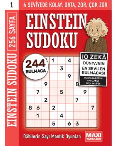 Einstein Sudoku 1