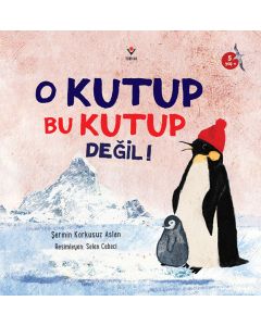 O Kutup Bu Kutup Değil!