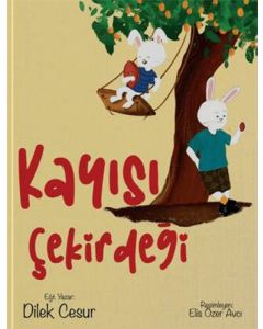 Kayısı Çekirdeği